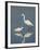 Snowy and Great Egrets-Arthur Morris-Framed Photographic Print