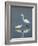 Snowy and Great Egrets-Arthur Morris-Framed Photographic Print