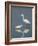 Snowy and Great Egrets-Arthur Morris-Framed Photographic Print