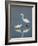 Snowy and Great Egrets-Arthur Morris-Framed Photographic Print