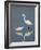 Snowy and Great Egrets-Arthur Morris-Framed Photographic Print