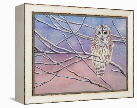 Snowy Barred Owl-Michelle Faber-Framed Premier Image Canvas