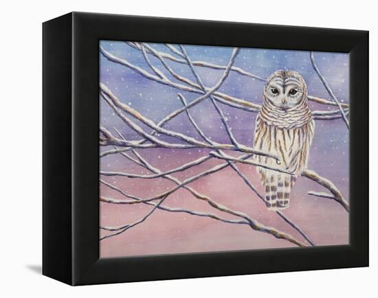 Snowy Barred Owl-Michelle Faber-Framed Premier Image Canvas