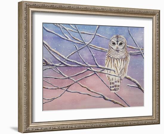 Snowy Barred Owl-Michelle Faber-Framed Giclee Print