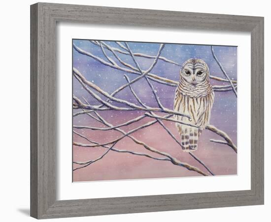 Snowy Barred Owl-Michelle Faber-Framed Giclee Print