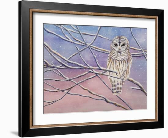 Snowy Barred Owl-Michelle Faber-Framed Giclee Print