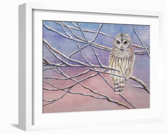 Snowy Barred Owl-Michelle Faber-Framed Giclee Print