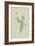 Snowy Crowfoot-Frederick Edward Hulme-Framed Giclee Print