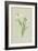 Snowy Crowfoot-Frederick Edward Hulme-Framed Giclee Print