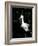 Snowy Egret at Ding Darling National Wildlife Refuge, Sanibel Island, Florida, USA-Jerry & Marcy Monkman-Framed Photographic Print