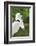 Snowy Egret Bird, Everglades, Florida, USA-Michael DeFreitas-Framed Photographic Print