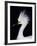 Snowy Egret in Breeding Plumage, Ding Darling National Wildlife Refuge, Sanibel Island, Florida,-Charles Sleicher-Framed Photographic Print