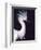 Snowy Egret in Breeding Plumage-Charles Sleicher-Framed Photographic Print