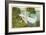 Snowy Egret, Myakka River State Park, Florida-null-Framed Art Print