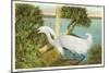 Snowy Egret, Myakka River State Park, Florida-null-Mounted Art Print