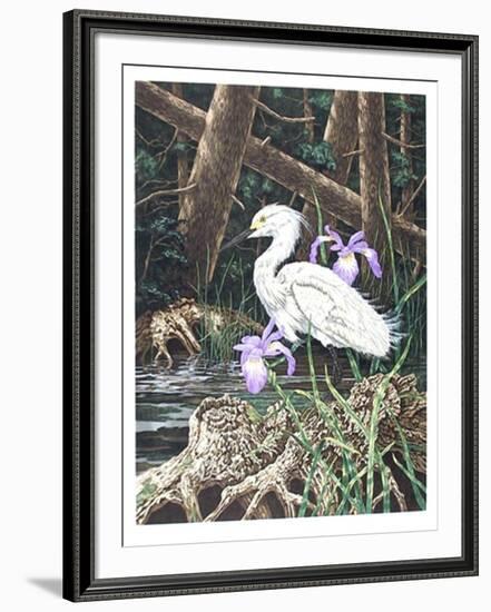 Snowy Egret-Chris Forrest-Framed Limited Edition