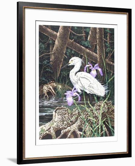 Snowy Egret-Chris Forrest-Framed Limited Edition