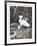 Snowy Egret-Chris Forrest-Framed Limited Edition