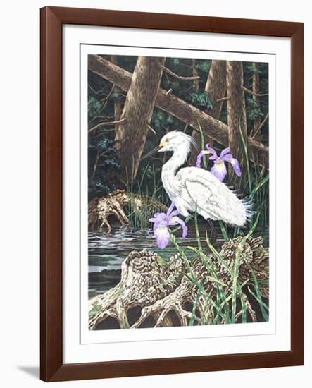 Snowy Egret-Chris Forrest-Framed Limited Edition