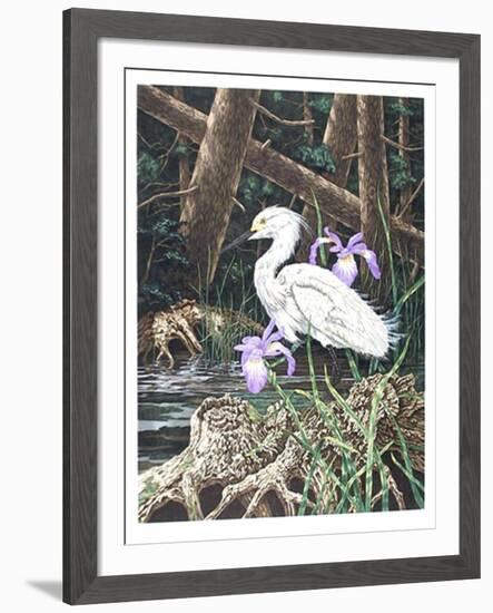 Snowy Egret-Chris Forrest-Framed Limited Edition