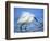 Snowy Egret-Joe McDonald-Framed Photographic Print