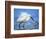 Snowy Egret-Joe McDonald-Framed Photographic Print