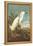 Snowy Egret-John James Audubon-Framed Stretched Canvas