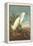 Snowy Egret-John James Audubon-Framed Stretched Canvas