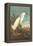 Snowy Egret-John James Audubon-Framed Stretched Canvas