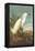 Snowy Egret-John James Audubon-Framed Stretched Canvas