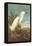 Snowy Egret-John James Audubon-Framed Stretched Canvas