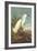 Snowy Egret-John James Audubon-Framed Art Print