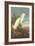 Snowy Egret-John James Audubon-Framed Art Print