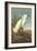 Snowy Egret-John James Audubon-Framed Art Print