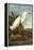 Snowy Egret-John James Audubon-Framed Stretched Canvas