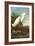 Snowy Egret-John James Audubon-Framed Art Print