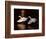 Snowy Egrets in Flight at Dawn-Charles Sleicher-Framed Photographic Print