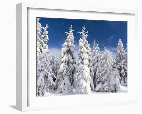 Snowy Forest in the National Park Bavarian Forest in the Deep of Winter. Bavaria, Germany-Martin Zwick-Framed Photographic Print