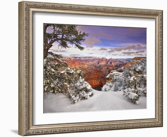 Snowy Grand Canyon II-David Drost-Framed Photographic Print