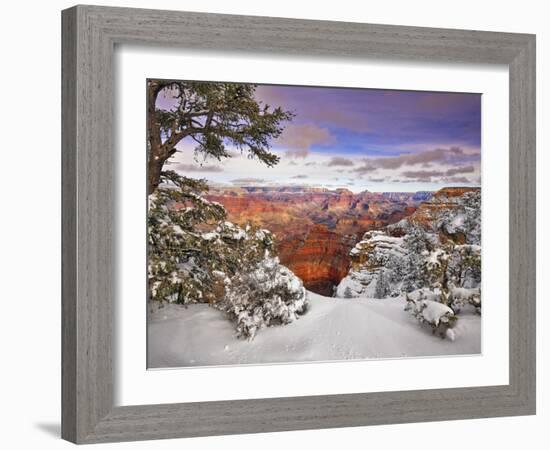 Snowy Grand Canyon II-David Drost-Framed Photographic Print
