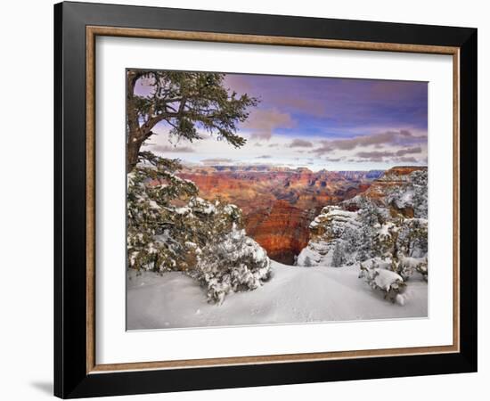 Snowy Grand Canyon II-David Drost-Framed Photographic Print