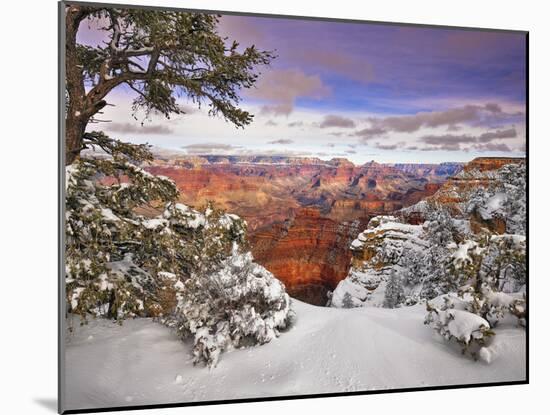 Snowy Grand Canyon II-David Drost-Mounted Photographic Print