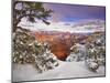 Snowy Grand Canyon II-David Drost-Mounted Photographic Print