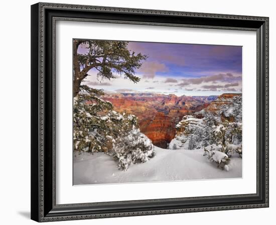 Snowy Grand Canyon II-David Drost-Framed Photographic Print