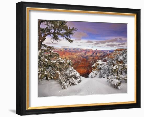 Snowy Grand Canyon II-David Drost-Framed Photographic Print