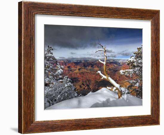 Snowy Grand Canyon III-David Drost-Framed Photographic Print