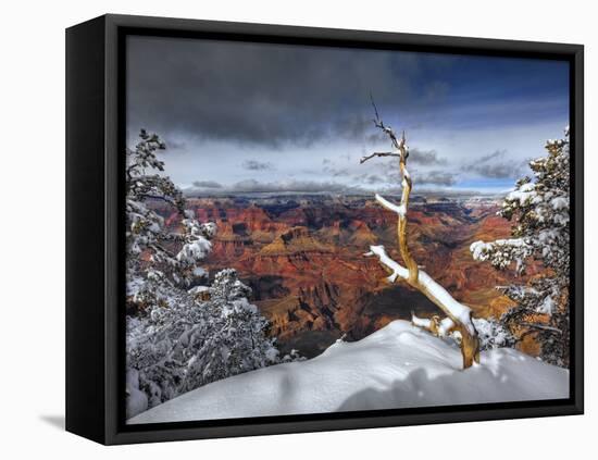 Snowy Grand Canyon III-David Drost-Framed Premier Image Canvas