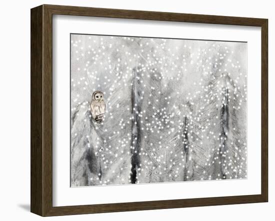 Snowy Habitat II-Alicia Ludwig-Framed Art Print