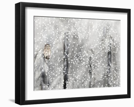 Snowy Habitat II-Alicia Ludwig-Framed Art Print