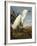 Snowy Heron or White Egret / Snowy Egret (Egretta Thula), Plate CCKLII, from 'The Birds of America'-John James Audubon-Framed Giclee Print